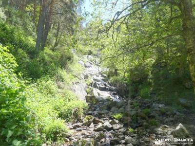 Joya Verde de Canencia — Un paseo por el Sestil del Maillo; gr 10 madrid viajes puente noviembre act